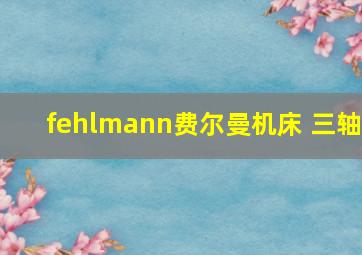 fehlmann费尔曼机床 三轴